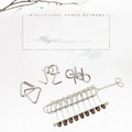 Metal Wire Puzzle Set Classic Brain Teaser & Unlocking 